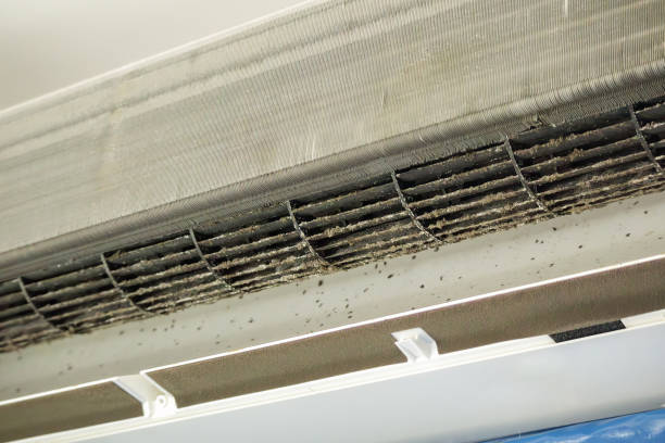 Best Ductwork Cleaning Services  in Belle Meade, TN